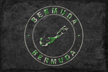 Bermuda Yeniden Ormanlama Yeşil Gündem Haritası, İklim Mesajı
