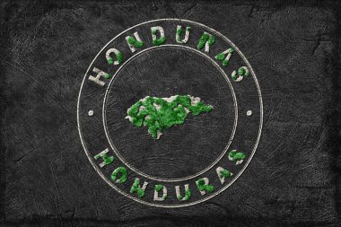 Honduras Ormanının Yeniden Ormanlanma Haritası Yeşil Gündem, İklim Mesajı