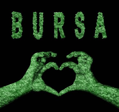 Bursa Kalp Eller Doğa Sembolü