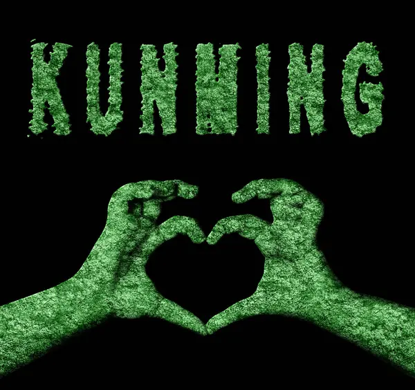 Kunming Heart Hands Doğa Sembolü