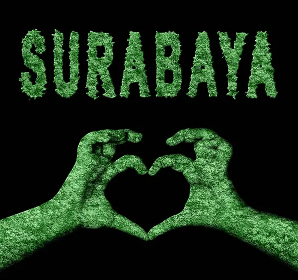 Surabaya Kalbi Doğa Elleri Sembolü