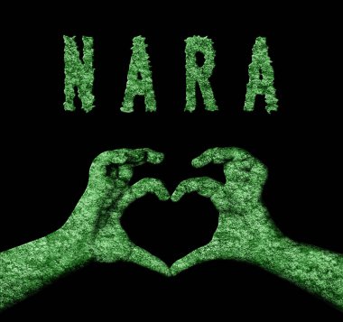 Nara Kalbi Doğa Elleri Sembolü