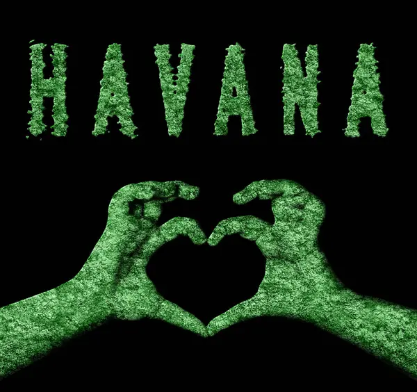 Havana Kalbi Doğa Elleri Sembolü