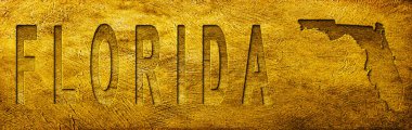 Florida Haritası ve Grunge Altın Doku Üzerine Metin