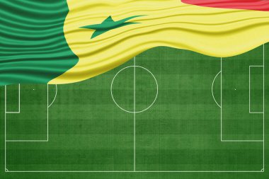Futbol Sahasında Senegal Bayrağı, Ulusal Futbol