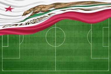 Ulusal Futbol Sahasında Kaliforniya Bayrağı