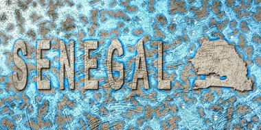 Senegal Su Yönetimi Konsepti, Çevre Stratejisi