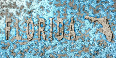 Florida Su İdaresi Konsepti, Çevre Stratejisi
