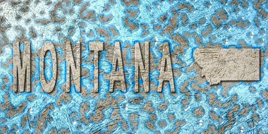 Montana Su Yönetimi Konsepti, Çevre Stratejisi