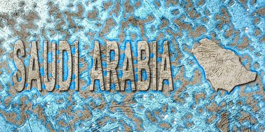 Suudi Arabistan Su Yönetimi Konsepti, Çevre Stratejisi