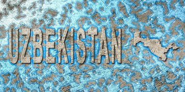 Özbekistan Su Yönetimi Konsepti, Çevre Stratejisi