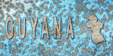 Guyana Su Yönetimi Konsepti, Çevre Stratejisi