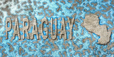 Paraguay Su Yönetimi Konsepti, Çevre Stratejisi