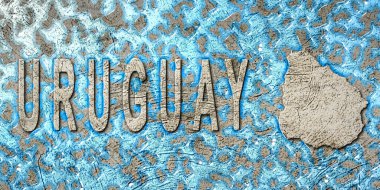 Uruguay Su Yönetimi Konsepti, Çevre Stratejisi