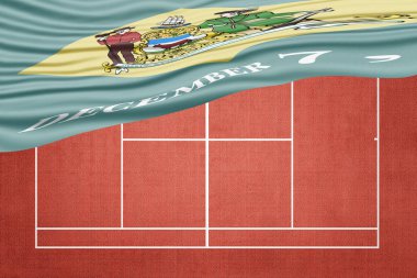 Clay Tenis Sahası Delaware Bayrağı, Spor Sembolü