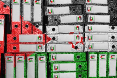 Sahra Arap Demokratik Cumhuriyeti Bayrak Renkleri Yığını, Bürokrasi ve Hükümet İdaresi Onayı