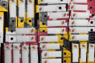 Maryland Bayrak Renkleri Dosya Yığını, Bürokrasi ve Hükümet Yönetimi Danışmanlığı