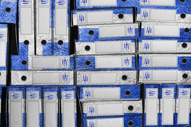 Yunanistan Renkli Bayrak Dizini, Bürokrasi ve Devlet İdaresi Onayı