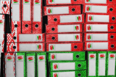 Belarus Bayrak Renkleri Dizin Yığını, Bürokrasi ve Hükümet İdaresi Onayı