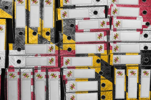 Maryland Bayrak Renkleri Dosya Yığını, Bürokrasi ve Hükümet Yönetimi Danışmanlığı