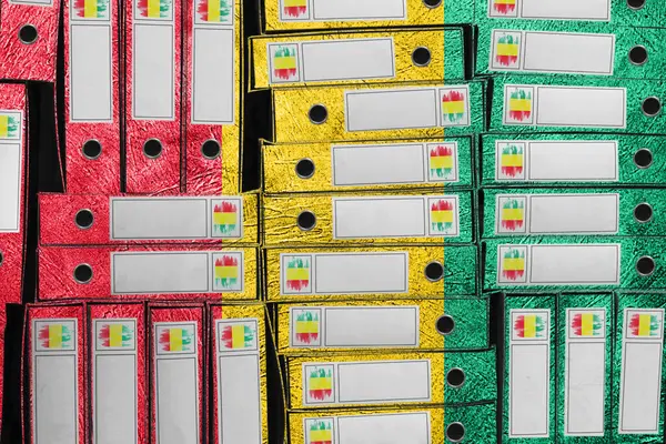 Gine Bayrak Renkleri Dizini Yığını, Bürokrasi ve Devlet İdaresi Onayı