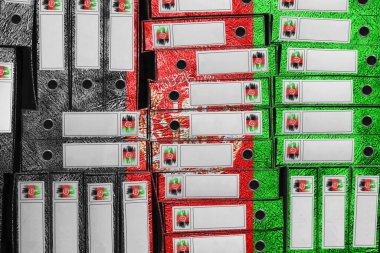 Afganistan Bayrak Renkleri Dizini, Bürokrasi ve Devlet İdaresi Onayı