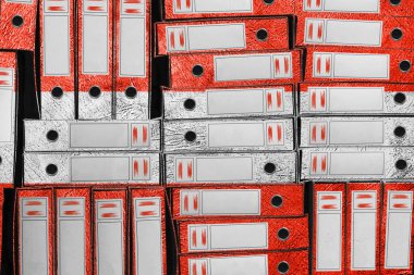 Avusturya Bayrak Renkleri Dizini, Bürokrasi ve Hükümet Onayı