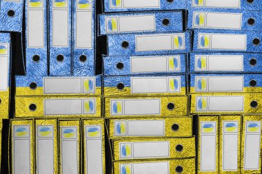 Ukrayna Bayrak Renkleri Dizin Yığını, Bürokrasi ve Hükümet İdaresi Onayı