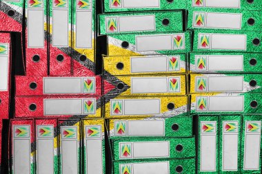 Guyana Bayrak Renkleri Dosya Yığını, Bürokrasi ve Devlet İdaresi Onayı