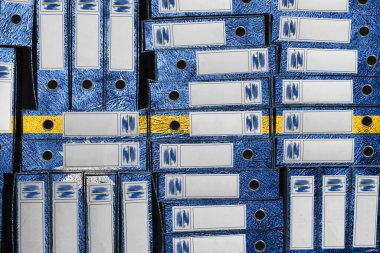 Nauru Bayrak Renkleri Dizin Yığını, Bürokrasi ve Hükümet İdaresi Onayı