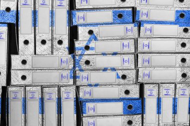 İsrail Bayrak Renkleri Dizini, Bürokrasi ve Hükümet Yönetimi Onayı