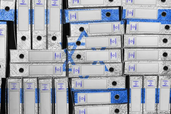 İsrail Bayrak Renkleri Dizini, Bürokrasi ve Hükümet Yönetimi Onayı