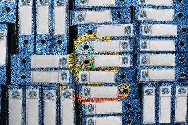 Idaho Bayrak Renkleri Dosya Yığını, Bürokrasi ve Hükümet İdaresi Onayı