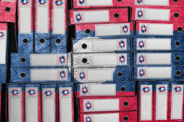 Laos Bayrak Renkleri Dizin Yığını, Bürokrasi ve Hükümet İdaresi Onayı