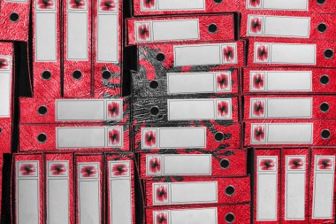 Arnavutluk Bayrak Renkleri Dizini, Bürokrasi ve Hükümet İdaresi Onayı