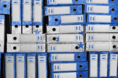 Honduras Bayrak Renkleri Dizin Yığını, Bürokrasi ve Hükümet İdaresi Onayı