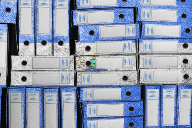 Nikaragua Bayrak Renkleri Dizin Yığını, Bürokrasi ve Hükümet İdaresi Onayı