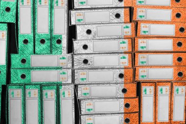 İrlanda Bayrak Renkleri Dizini, Bürokrasi ve Devlet İdaresi Onayı