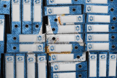 Louisiana Bayrak Renkleri Dosya Yığını, Bürokrasi ve Devlet İdaresi Onayı