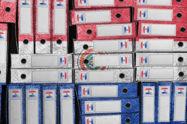 Paraguay Bayrak Renkleri Dizin Yığını, Bürokrasi ve Hükümet İdaresi Onayı