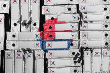 Güney Kore Bayrak Renkleri Dosya Yığını, Bürokrasi ve Hükümet Yönetimi Danışmanlığı