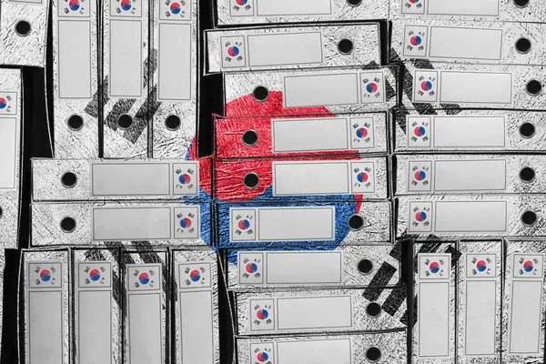 Güney Kore Bayrak Renkleri Dosya Yığını, Bürokrasi ve Hükümet Yönetimi Danışmanlığı