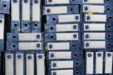 Alaska Bayrak Renkleri Yığını, Bürokrasi ve Hükümet Yönetimi Danışmanlığı