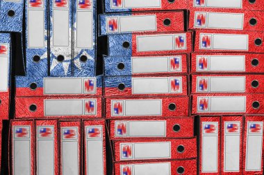 Tayvan Bayrak Renkleri Dosya Yığını, Bürokrasi ve Devlet İdaresi Onayı