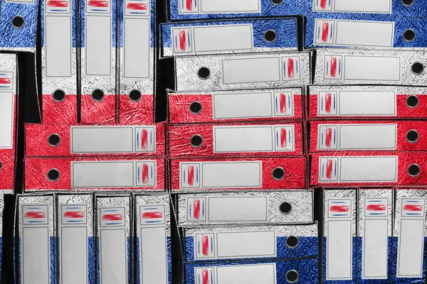 Kosta Rika Bayrak Renkleri Dizin Yığını, Bürokrasi ve Hükümet İdaresi Onayı