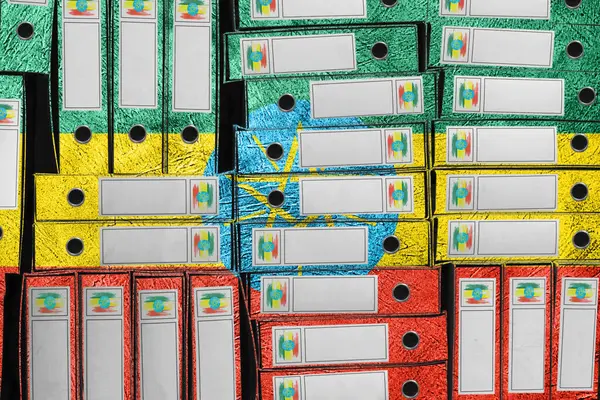 Etiyopya Bayrak Renkleri Dizin Yığını, Bürokrasi ve Hükümet İdaresi Onayı