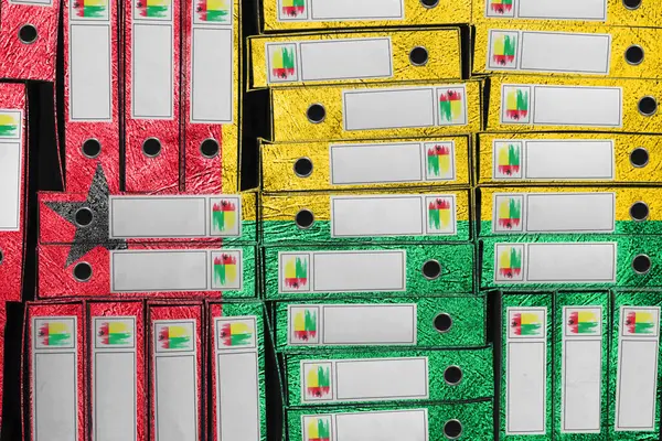 Gine Bissau Bayrak Renkleri Yığını, Bürokrasi ve Hükümet İdaresi Onayı