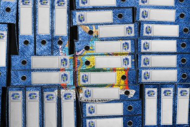 New York Bayrak Renkleri Dosya Yığını, Bürokrasi ve Hükümet Yönetimi Danışmanlığı