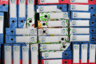 Belize Bayrak Renkleri Dizin Yığını, Bürokrasi ve Hükümet İdaresi Onayı