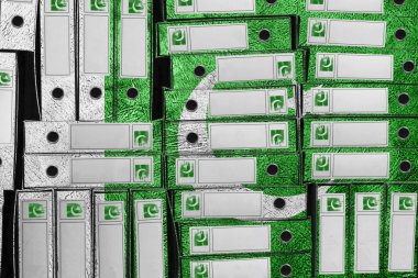Pakistan Bayrak Renkleri Dizini, Bürokrasi ve Hükümet Yönetimi Onayı